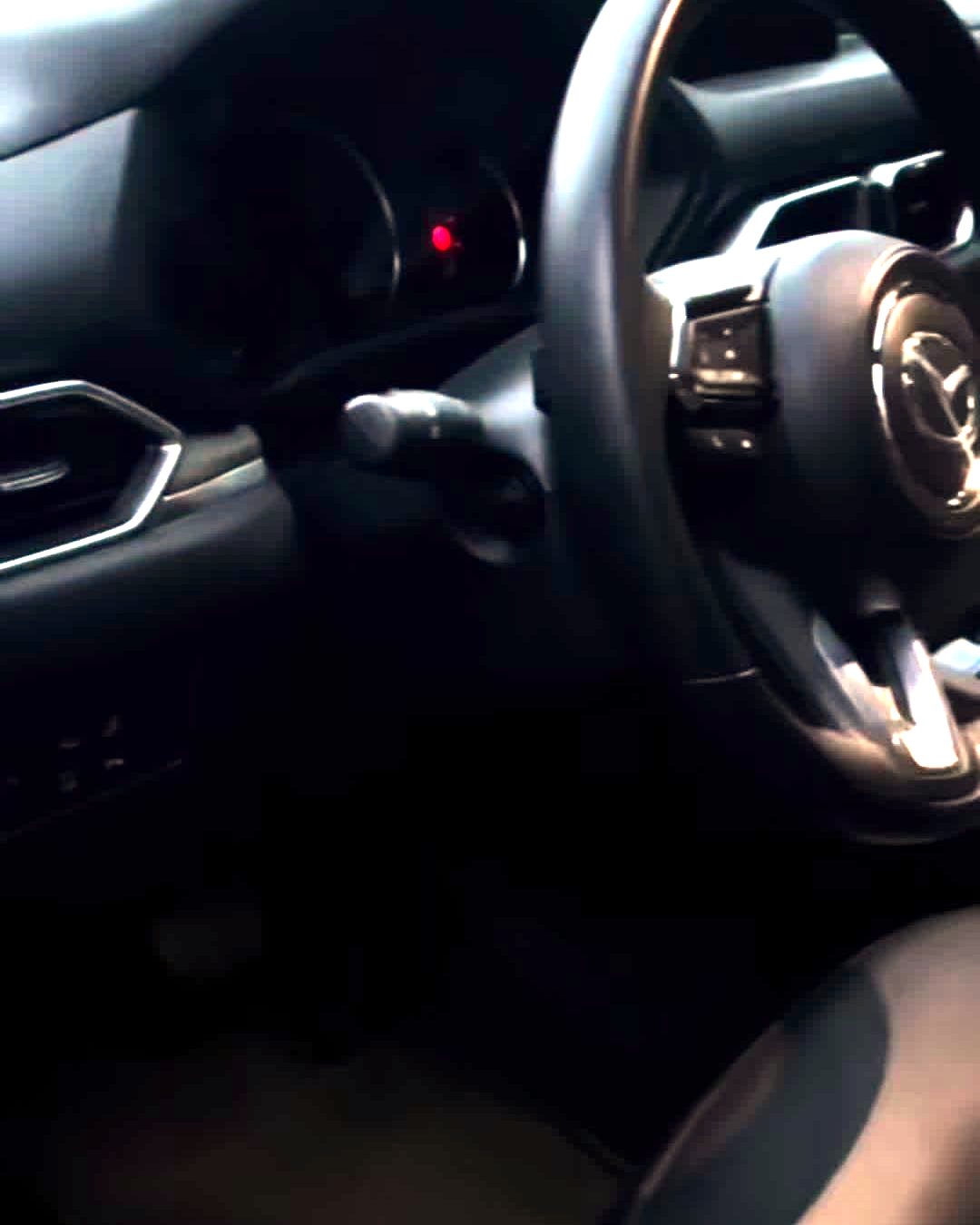 Interior detail, finished — CaseCade Detailing